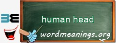 WordMeaning blackboard for human head